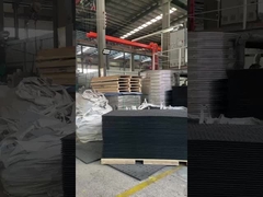 Ağır koruma matası