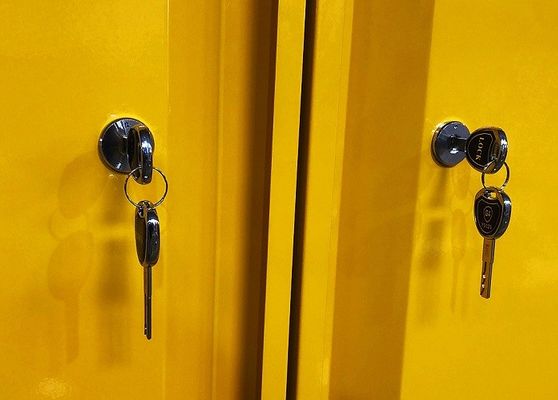 satın al Chemical Storage Cabinet with 109x46x123CM, 109x46x165CM, and 109x86x165CM Sizes for Hazardous Material Storage Çevrimiçi üretim